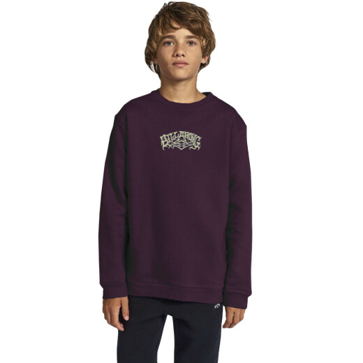 Buzo Billabong Alternative Crew Niño - Violeta Buzo Billabong Alternative Crew Niño - Violeta