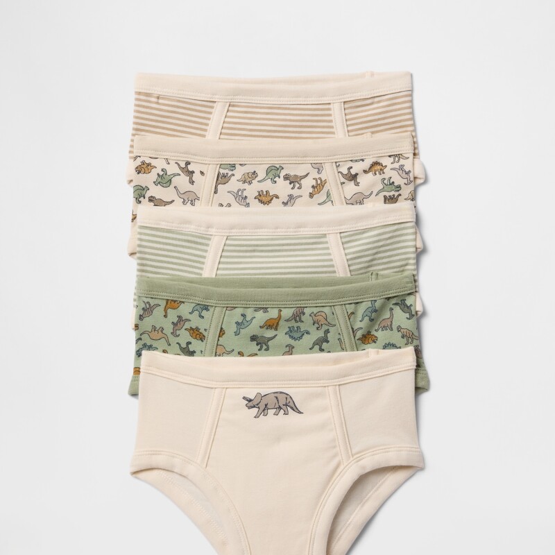 V-TB 5PK UNDRWR DESERT SAGE