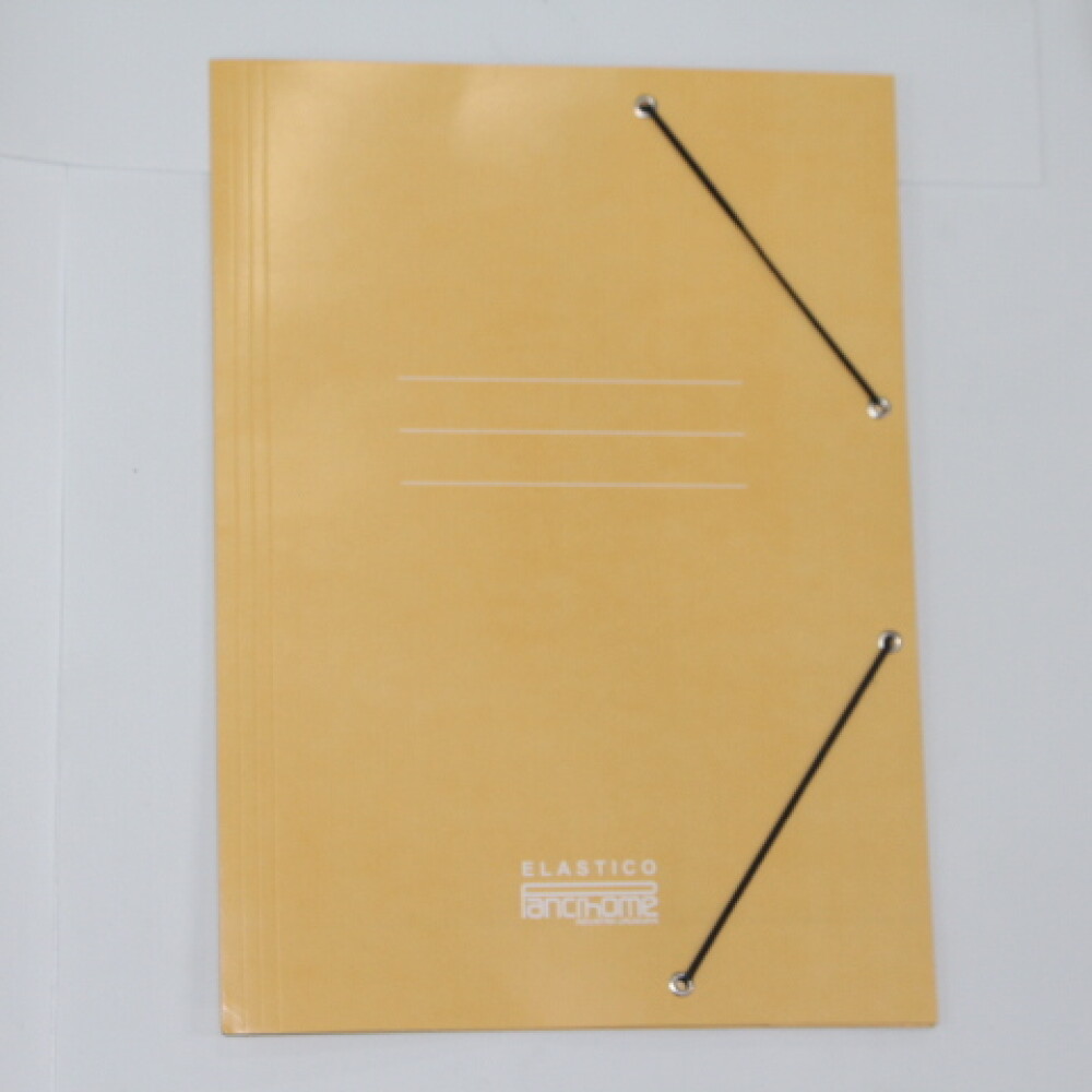 CARPETA PANCHROME CON ELASTICO 307 COLOR BEIGE CARPETA PANCHROME CON ELASTICO 307 COLOR BEIGE