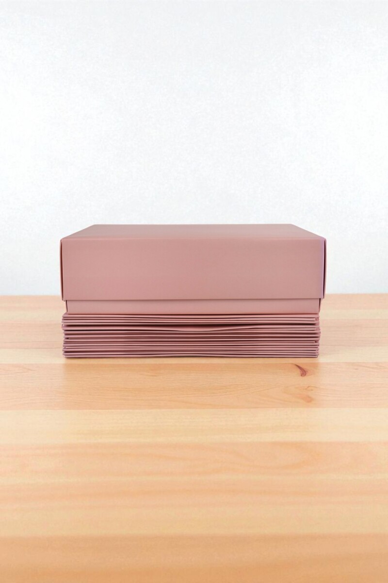 Pack x 10 unid – caja 08 20x30x9 cm Laminada - NUDE 