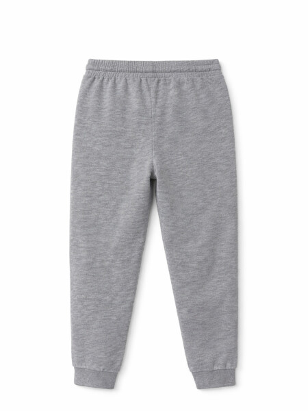 PANTALON EMA GRIS