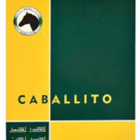 BLOCK 1/8 W CABALLITO 35X25 10 HOJAS 100 GR Q20 BLOCK 1/8 W CABALLITO 35X25 10 HOJAS 100 GR Q20
