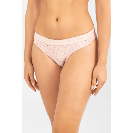 Colaless iris Rosa antique