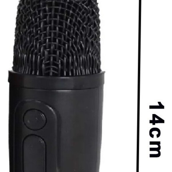 Parlante Bluetooth Karaoke Con Micrófono Y Luces Portatil Ax Variante Color Negro