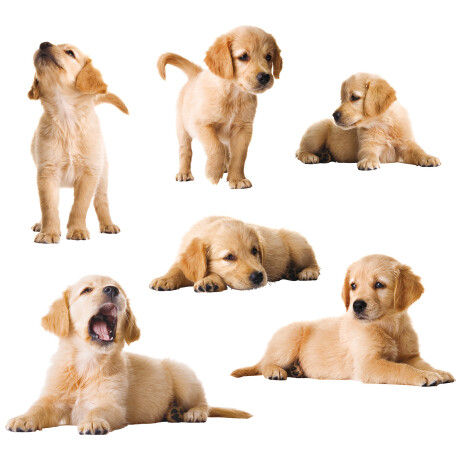 WALLPOPS PUPPIES WALL DECALS N/A
