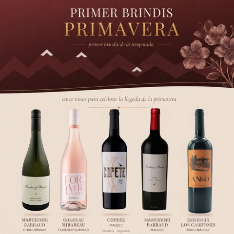 Box Primer Brindis de Primavera Box Primer Brindis de Primavera