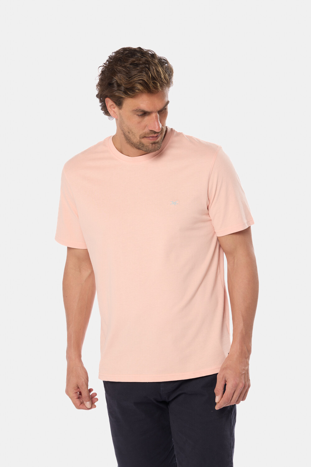 REMERA LISA Melon