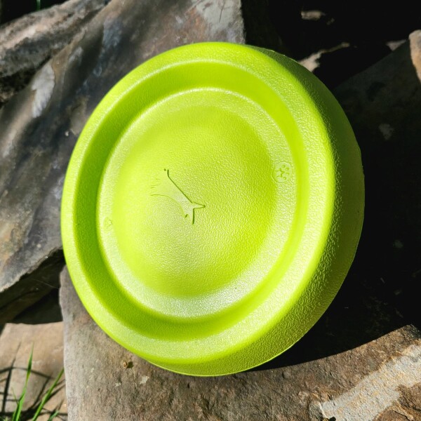 Juguete Para Perro Frisbee Disco Mascota Resistente Calidad Color Variante Verde Fluor