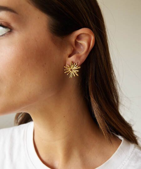 CARAVANAS ESTELAR GOLD