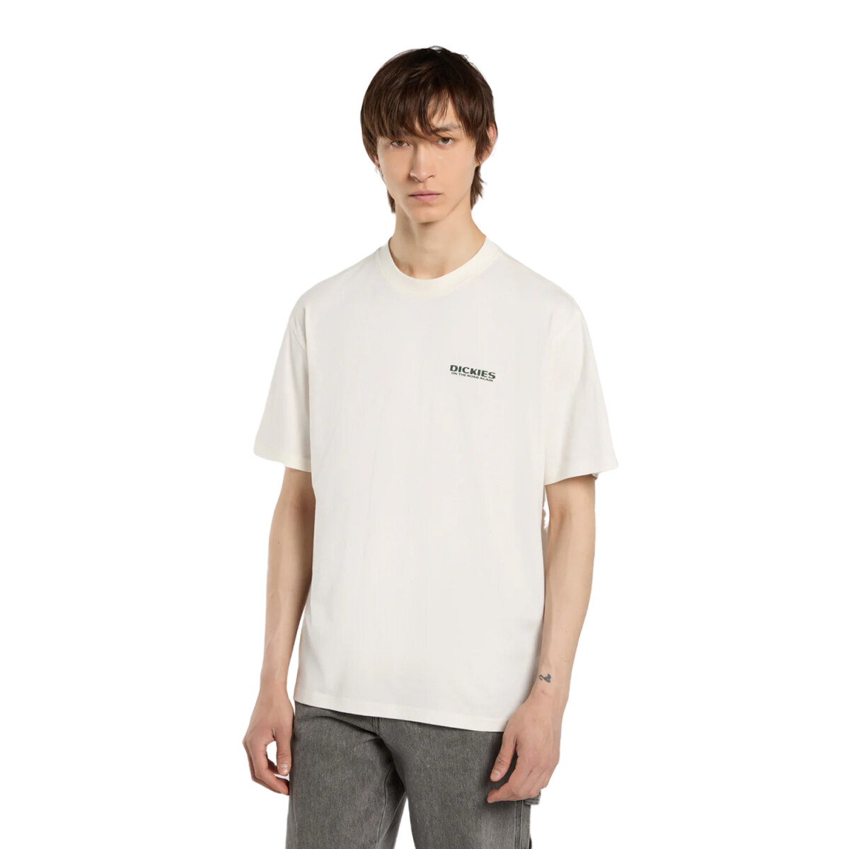 Remera Dickies Burns - Multicolor 