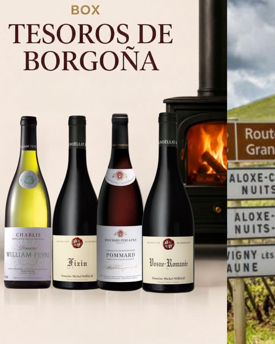 Box Tesoros de Borgoña 