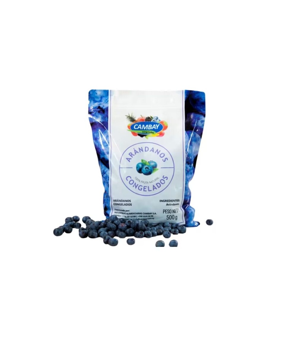 ARÁNDANOS 500G CAMBAY 