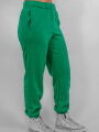 Pantalon Benasquet Verde