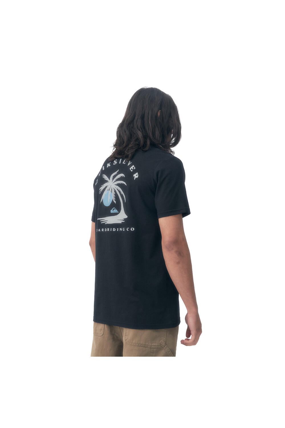 Quiksilver Remera PALM ISLAND Hombre - Negro Negro