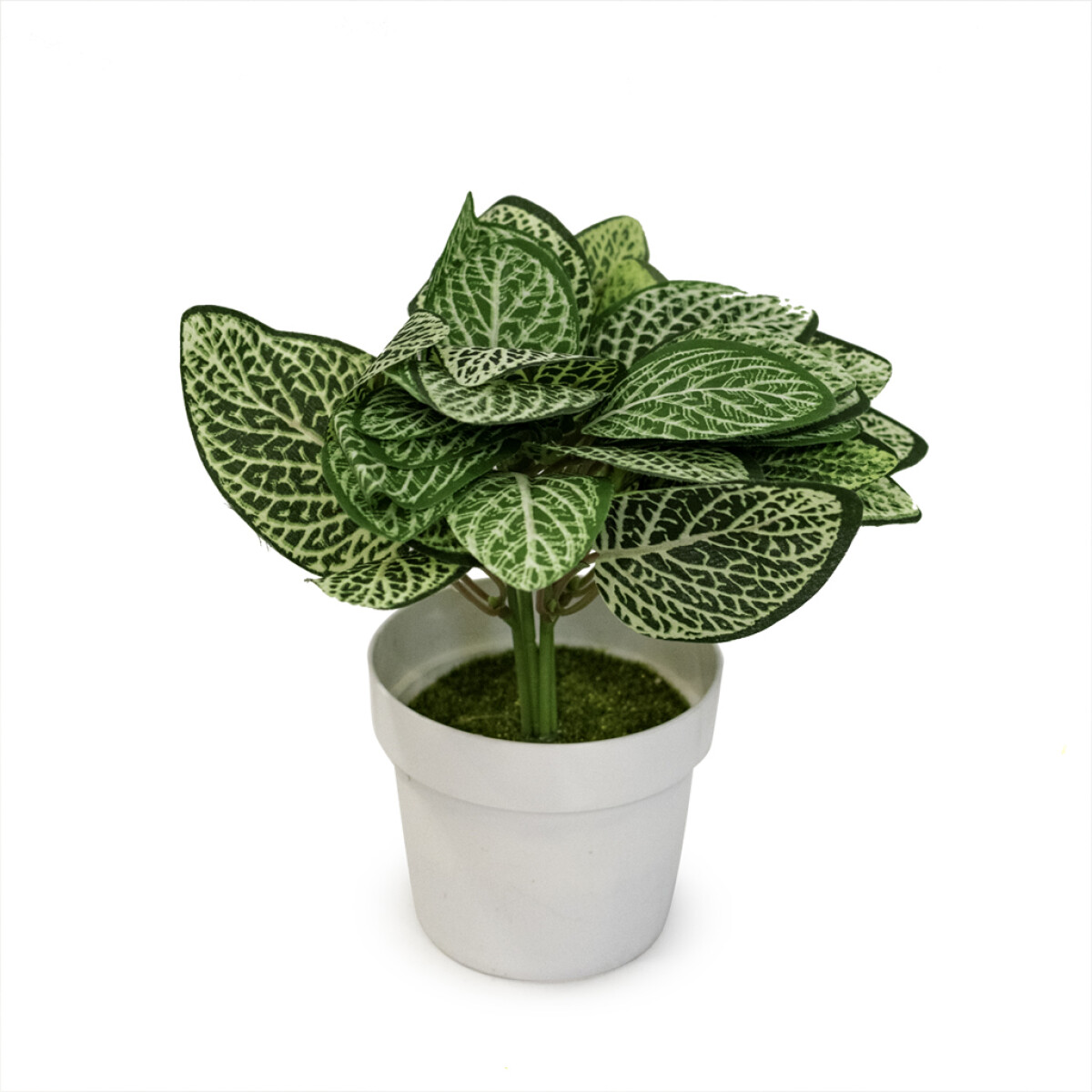 MACETA FITTONIA ARTIFICIAL 