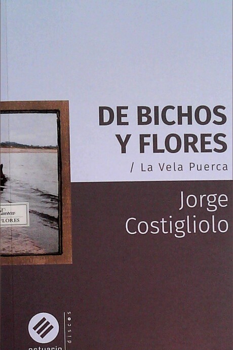 DE BICHOS Y FLORES. LA VELA PUERCA DE BICHOS Y FLORES. LA VELA PUERCA