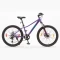 Bicicleta S-pro R.24 Mtb Kodiak - Violeta