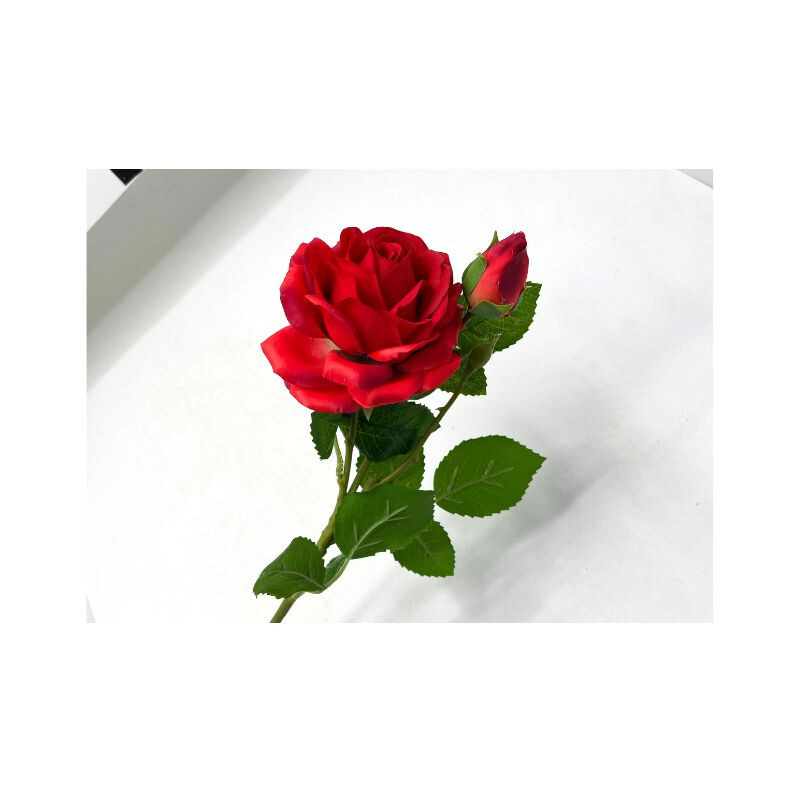 Rosa por Unidad Roja