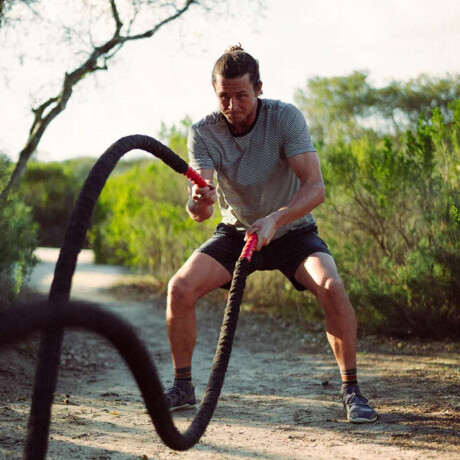 Remera Roark Borrego Multi