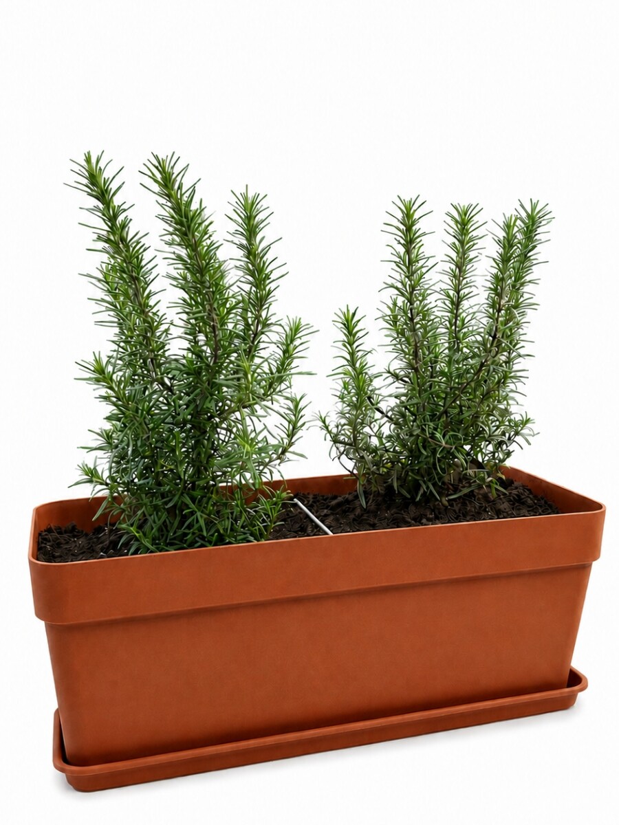 JARDINERA CON ROMEROS TERRACOTA