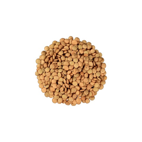 LENTEJA PELADA Lenteja Pelada 250g