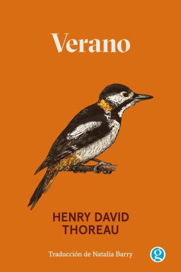 Verano Verano