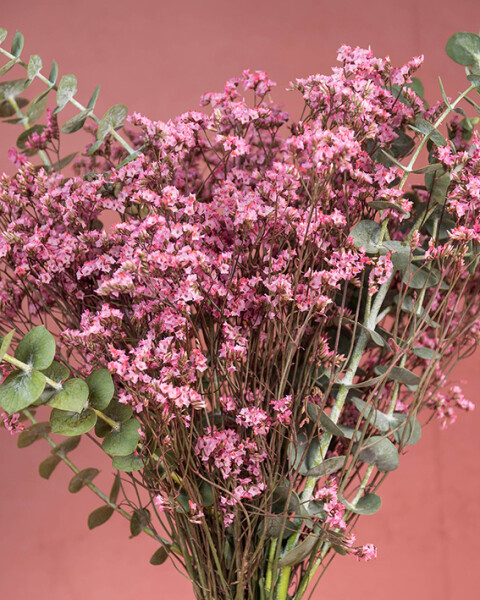 Manojitos de Caspia Rosado