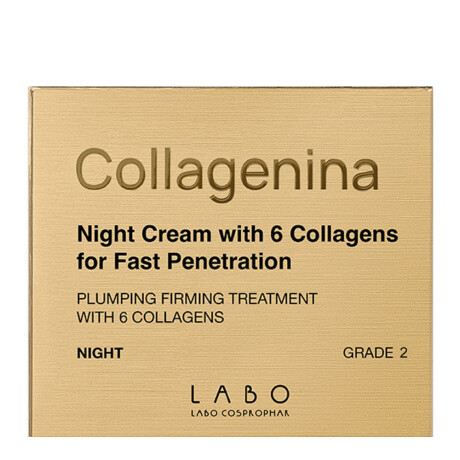 Crema Facial Collagenina 6 Collagens G2 Night Cream 50ml Crema Facial Collagenina 6 Collagens G2 Night Cream 50ml
