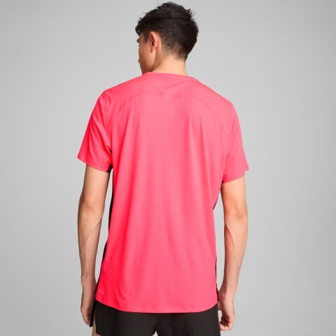 T-SHIRT M/C S-XL FUCSIA