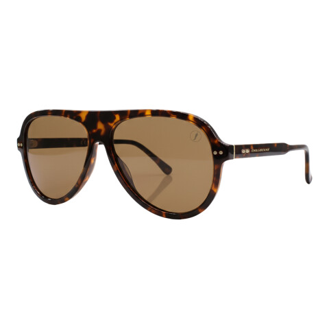 Lente de Sol Chilli Beans Sena Animal Print