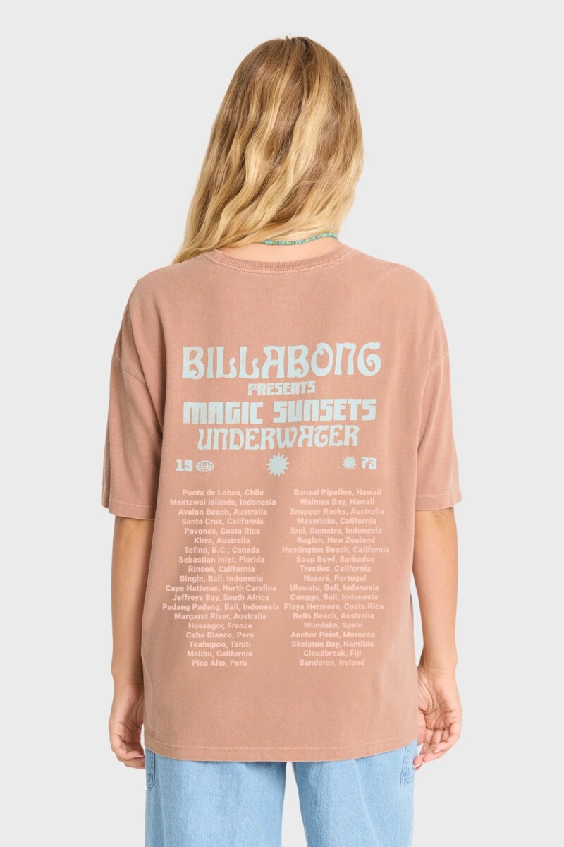 REMERA TAKE A TOUR SS TEE H-marron