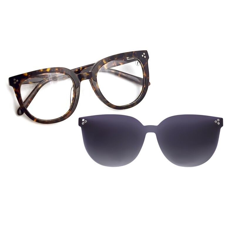 Armazón Chilli Beans Augusta más intercambiable de Sol Animal Print