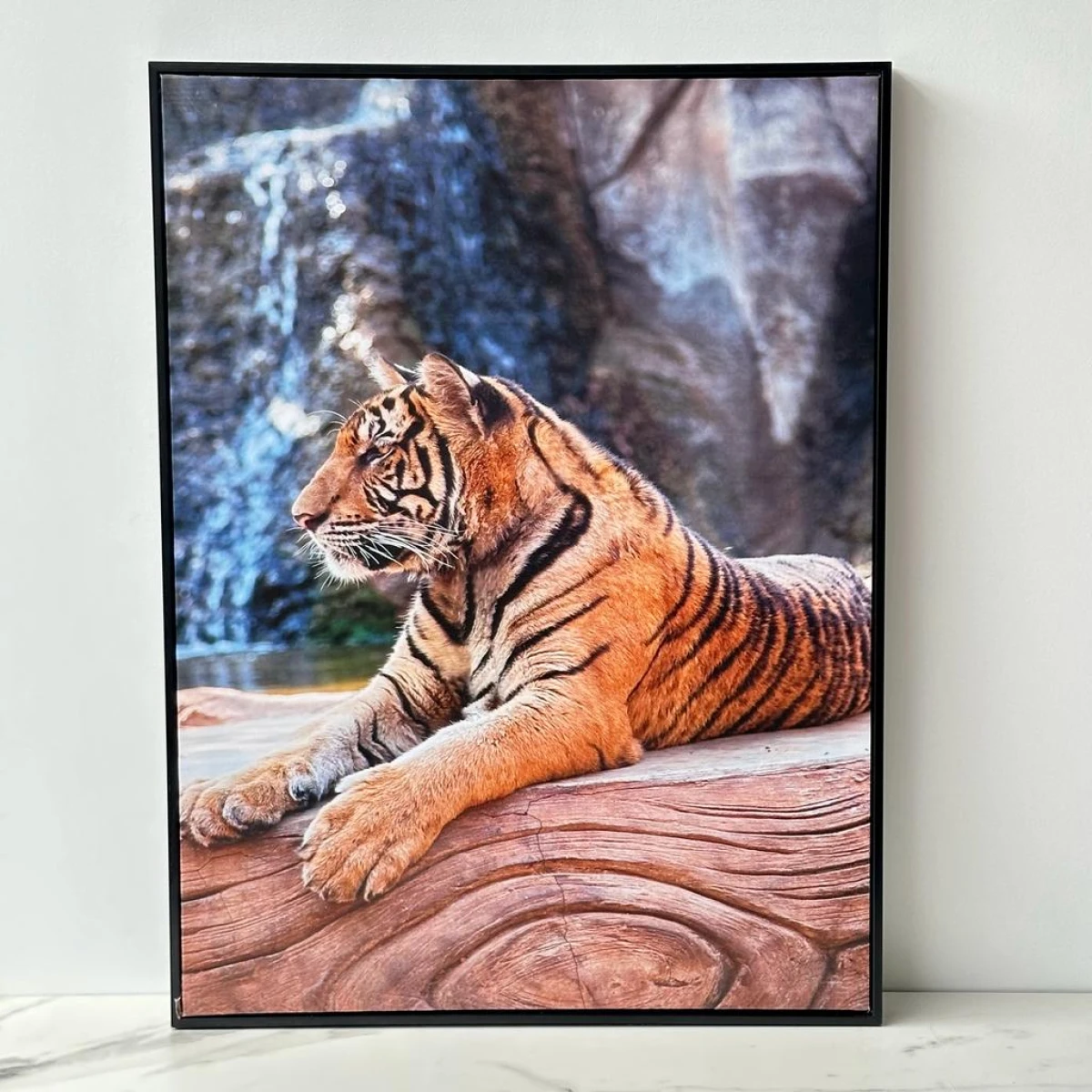 Cuadro Decorativo 60cm x 80cm 