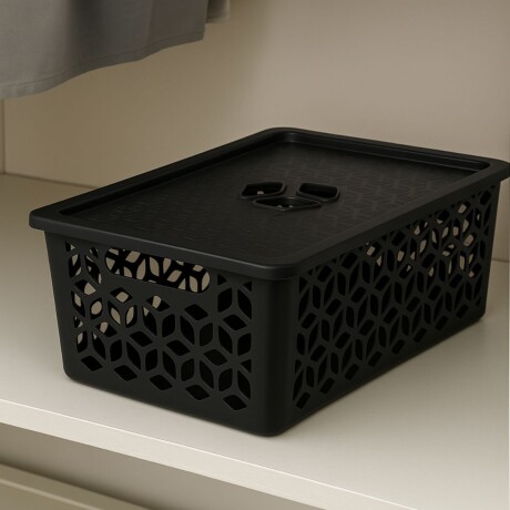 Caja organizadora con tapa G 15L NEGRO