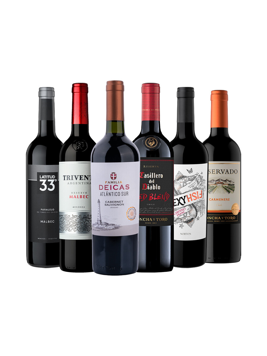 Pack Bacán Selección Recomendados de Febrero x6 vinos Pack Bacán Selección Recomendados de Febrero x6 vinos