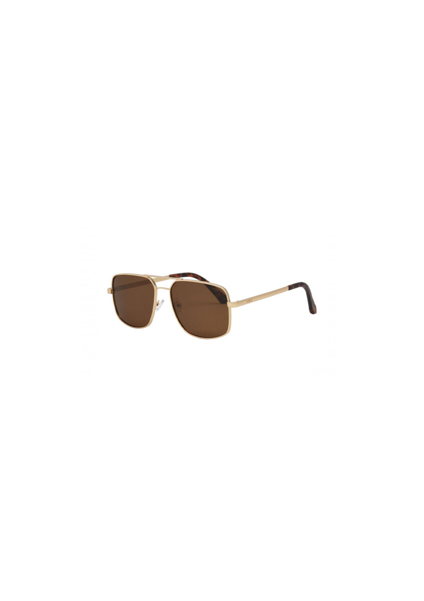 G15 POLARIZED LENS 