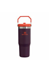 FLIP STRAW TUMBLER | 887 ML PLUM STRIPE