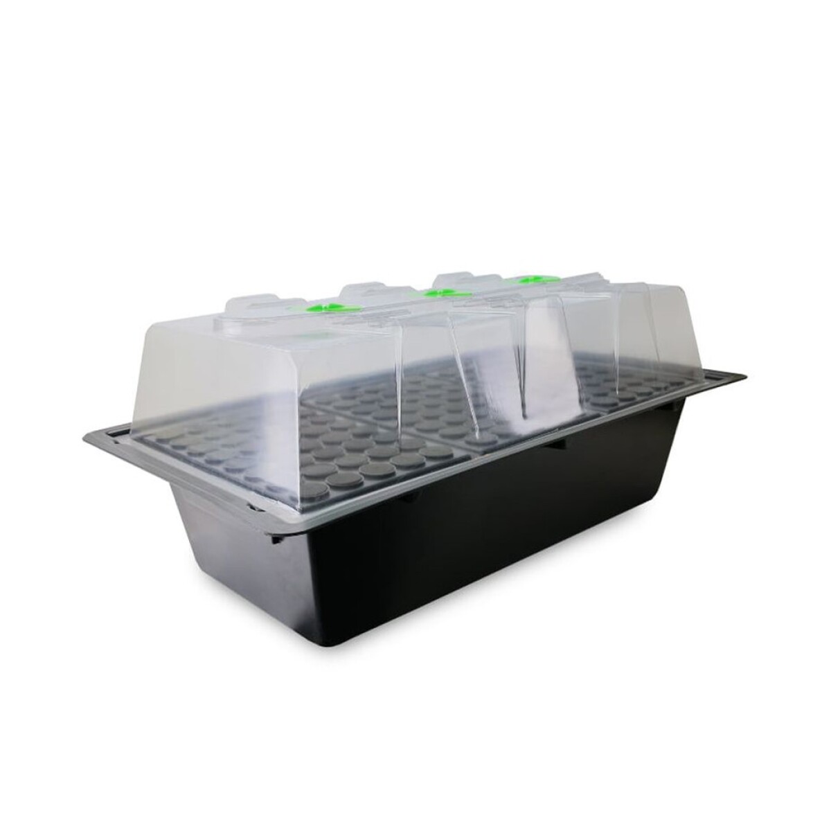 AEROCLONADOR 40 ALVEOLOS X-TREME 
