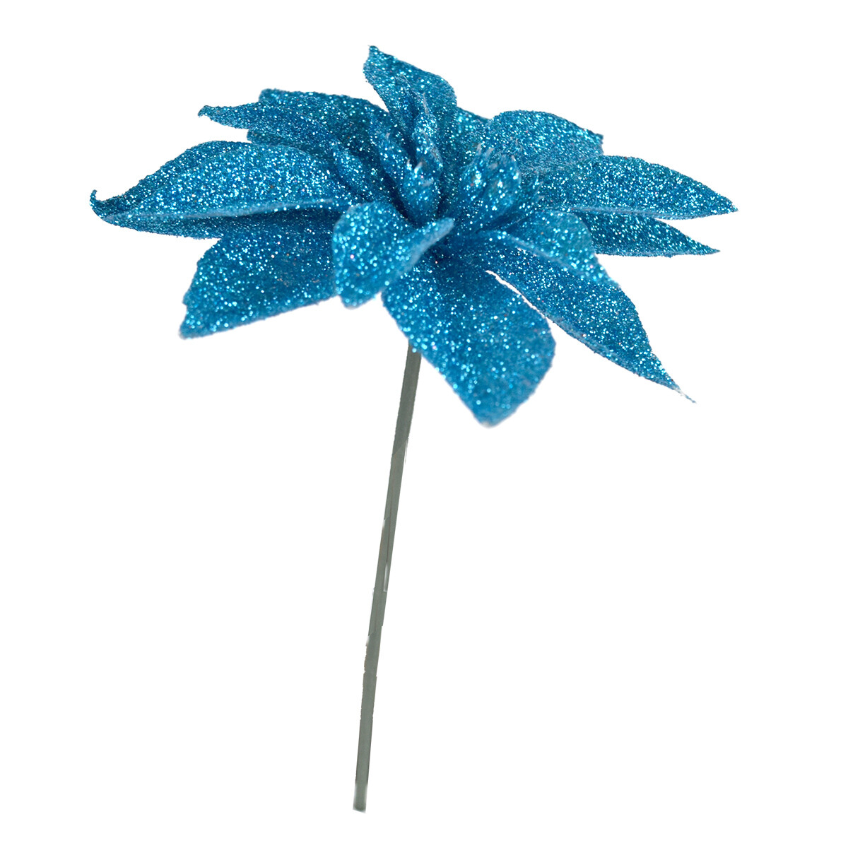 FLOR ESTRELLA FEDERAL 28596 