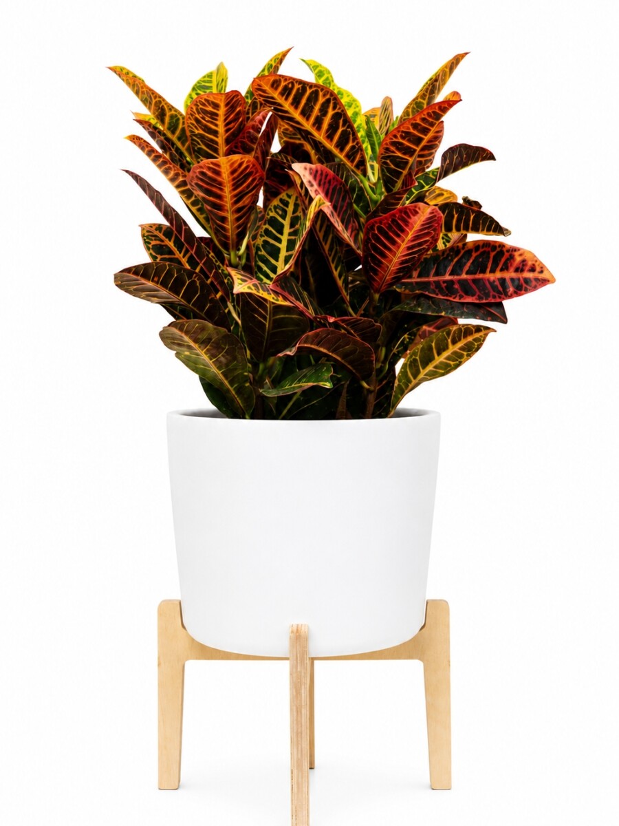 MACETA CERAMICA L MINIMALISTA CON SOPORTE ALTO