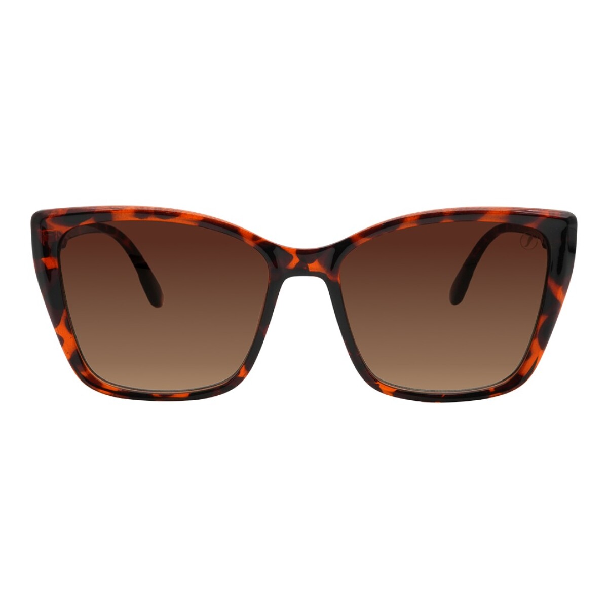 Lentes de Sol Chilli Beans Nicosia - Animal Print 