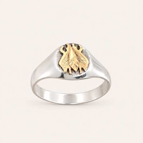 Anillo Maestra - Plata y Oro Anillo Maestra - Plata y Oro