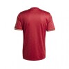CAMISETA ANIVERSARIO FC BAYERN Gray