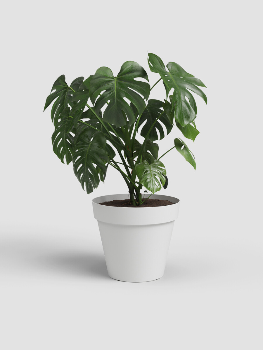 MACETA CAPRI POT 35 BLANCO