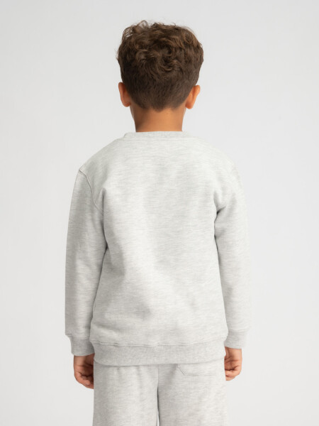 Buzo deportivo Gris Melange