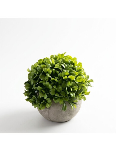 ARBUSTO BOJ ARTIFICIAL 12x5CM ARBUSTO BOJ ARTIFICIAL 12x5CM