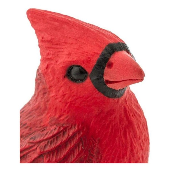 Pajaro Cardenal Cardinal Safari Figura Muñeco Realista Pajaro Cardenal Cardinal Safari Figura Muñeco Realista