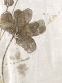 Blusa con nudo estampada con dorado Blanca