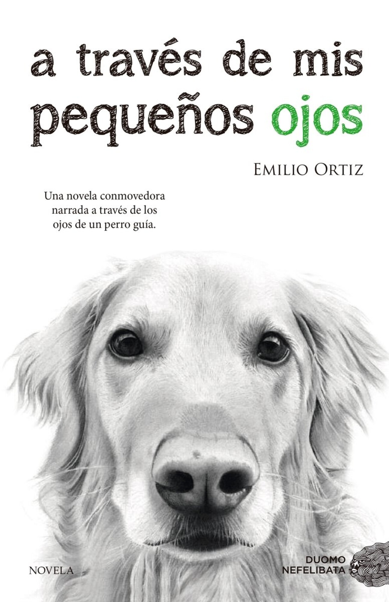 A TRAVES DE MIS PEQUEÑOS OJOS — El Virrey