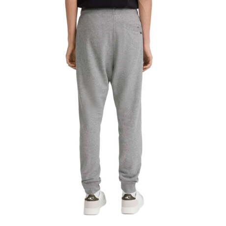 Pantalon Oneill Small Logo Gris